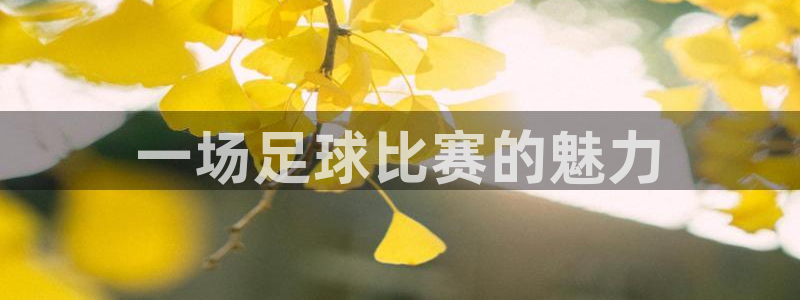 悟空体育的鞋怎么样：一场足球比赛的魅力