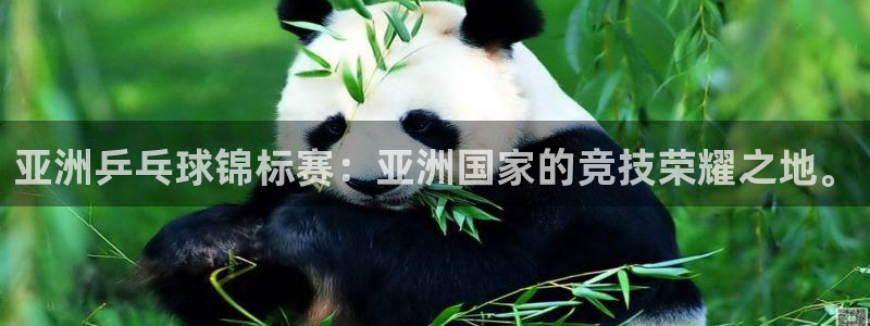悟空体育平台登录：亚洲乒乓球锦标赛：亚洲国家的竞技荣耀之地。