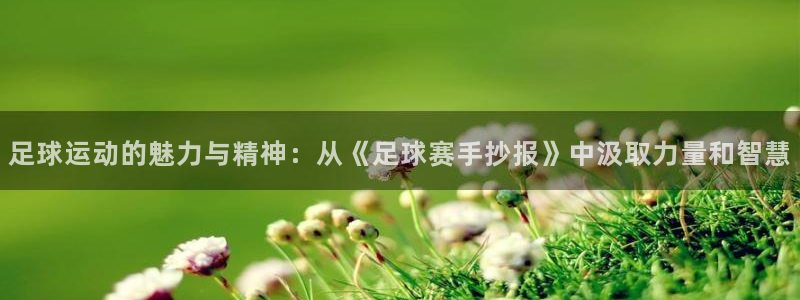 悟空体育游戏怎么样?：足球运动的魅力与精神：从《足球赛手抄报