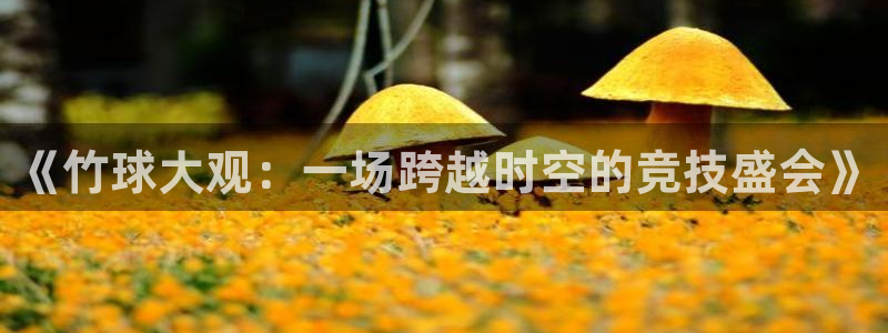 悟空体育平台官网入口网址是什么：《竹球大观：一场跨越时空的竞